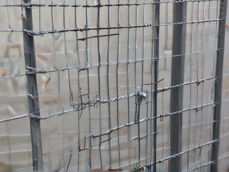 pallet wire mesh